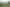 490 Totoro Road, Aria