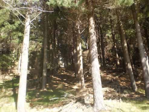 1795 White Rock Road, Tuturumuri