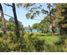 5 Anzac Road, Waiheke Island, Waiheke Island, Auckland