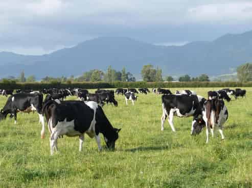 524 Wardville Road, Wardville