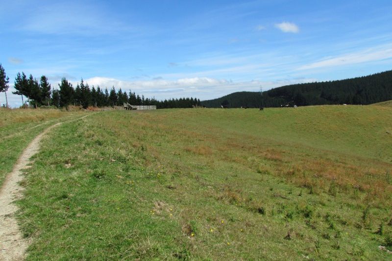 For sale Table Hill Bare Land Block - realestate.co.nz