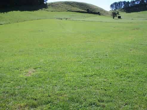 382 Awai Road, Tarurutangi