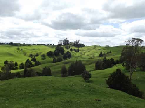 834 Central Road, Otamatea Surrounds