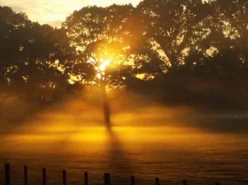 85 Hirangi Road, Tokaanu