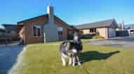 Open gallery