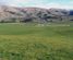 587 Eastern Road, North Otago Surrounds, Waitaki, Otago