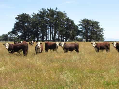 30 Wallacetown Lorneville Highway, Lorneville