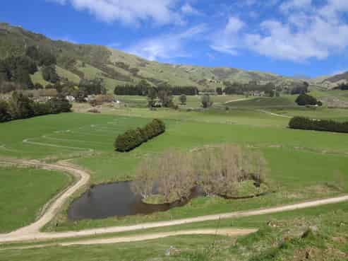 85602 State Highway 2, Kiriwhakapapa