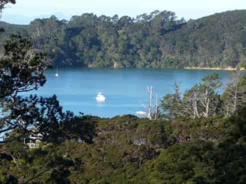 12 Wilson Avenue, Kawau Island