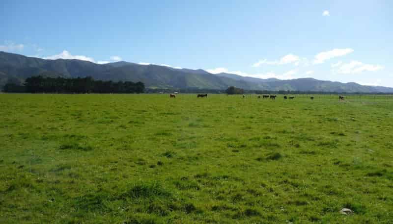 Wairarapa - Address withheld