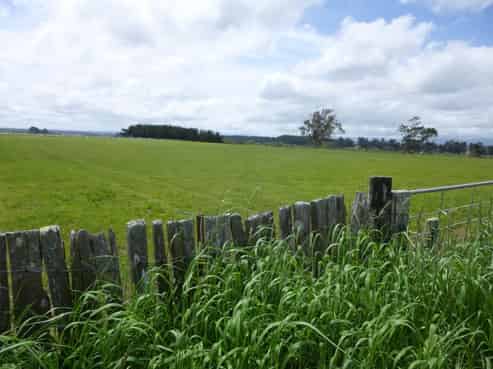 206 Almadale Road, Cheltenham