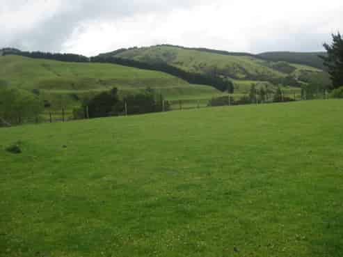 273 Paruwai Road, Tuturumuri