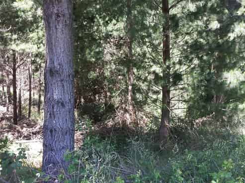 182 Waitara Road, Te Haroto