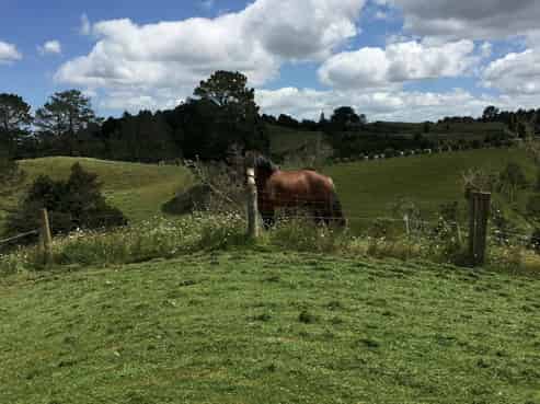 261 Central Road, Mareretu