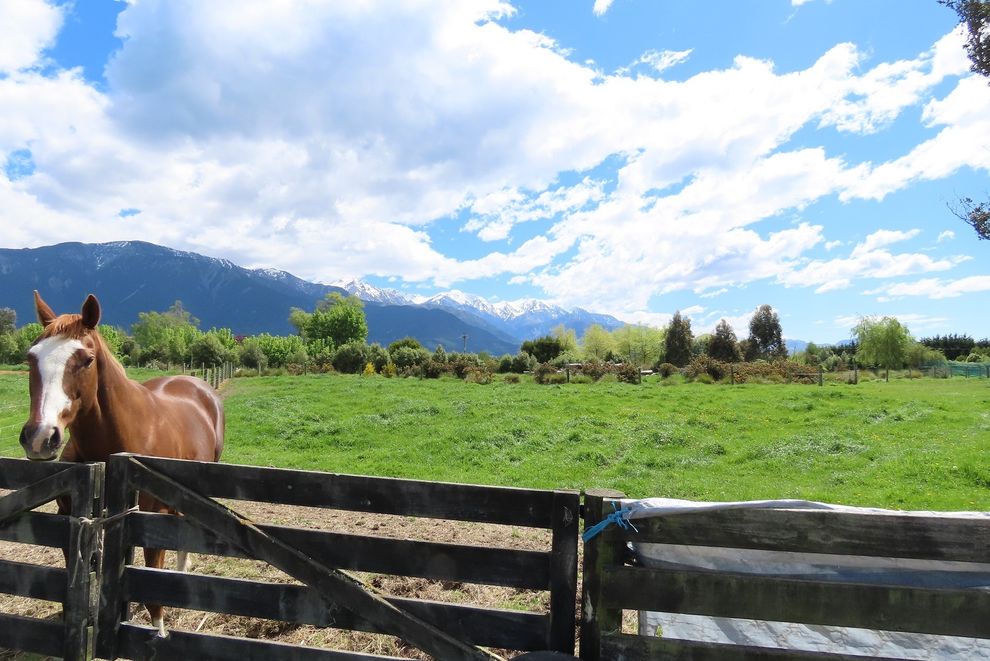 For sale 258 Mt. Fyffe Road, Kaikoura realestate.co.nz