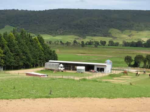424 Dewe Road, Catlins Surrounds