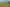 253 Old Hill Road, Tahuna