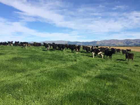 427 Woolshed Valley Road, Otaio