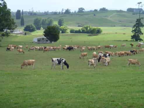 105 Milliken Road, Richmond Downs