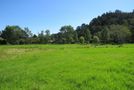 310 Albert Street, Coromandel, Thames-Coromandel, Coromandel