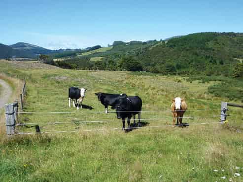 461 Waitati Valley Road, Upper Waitati