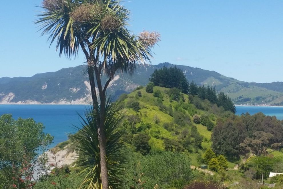 For sale Tasks For Tokomaru Bay Bargain realestate.co.nz