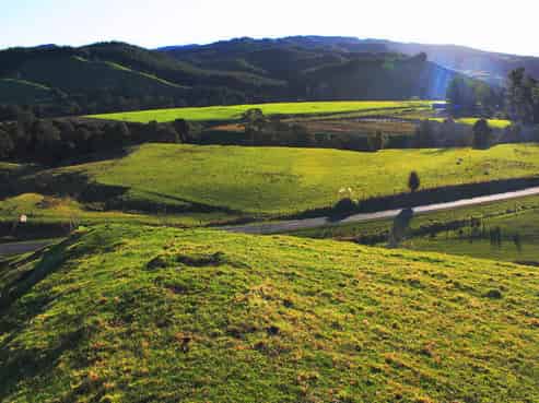 821 Tiniroto Road, Ruakituri