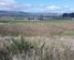 54 Hendersons Line, Kelvin Grove, Palmerston North City, Manawatu / Whanganui