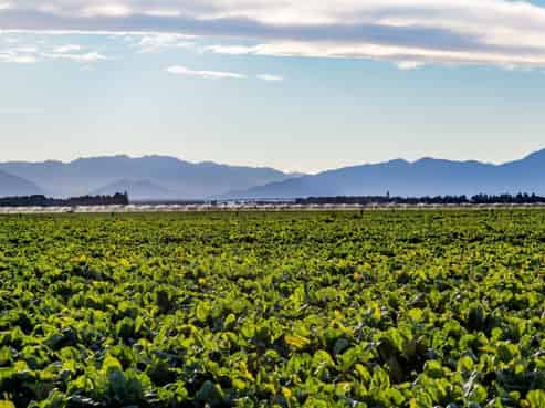 1347 Rakaia Highway, Chertsey