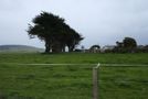 3 Truro Street, Orepuki, Southland, Southland