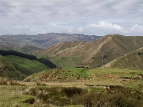 115 Waipapa Road, Kakatahi