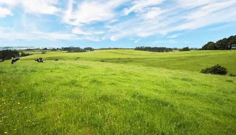 9a Bush Road, Pukekohe