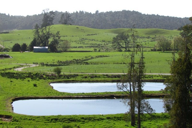 For sale 258 Otaua Road, Kaikohe realestate.co.nz