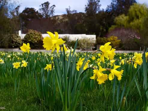 965 Georgetown-pukeuri Road, North Otago