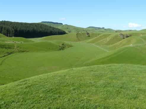 2413 Porangahau Road, Central Hawkes Bay Country