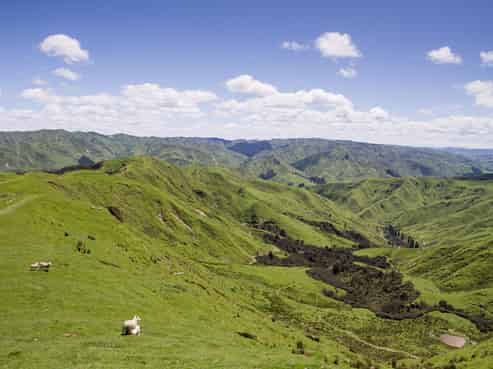 4064 State Highway 4, Kakatahi