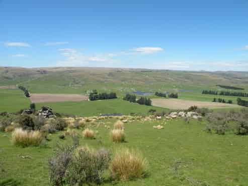 969 Nenthorn Road, East Otago