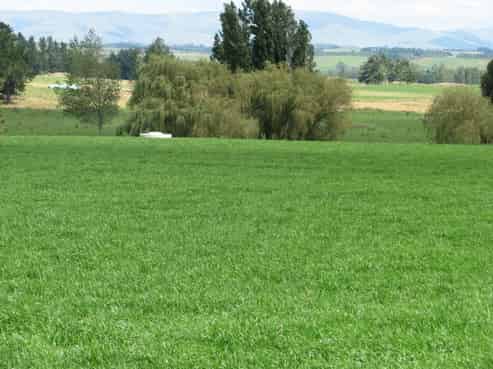 84 Hadfield Road, Greenfield