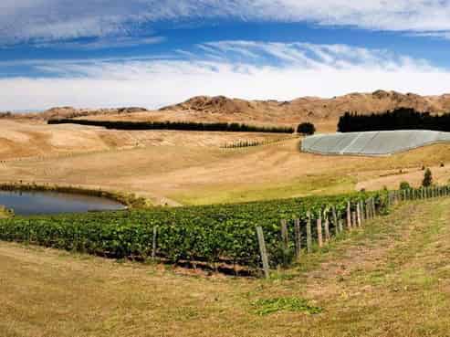 548 Pyramid Valley Road, Pyramid Valley