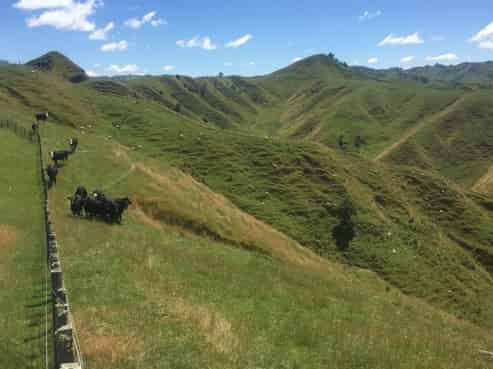 818 Manui Road, Mangaweka