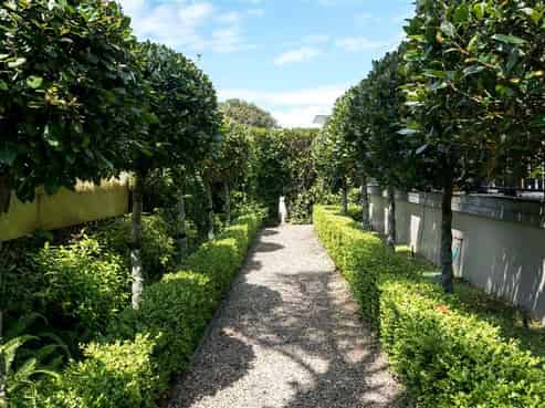 40 Dudley Road, Mission Bay