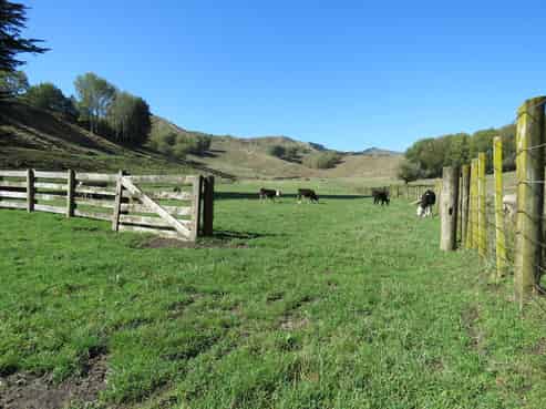 109 Paremata Branch Road, Tolaga Bay