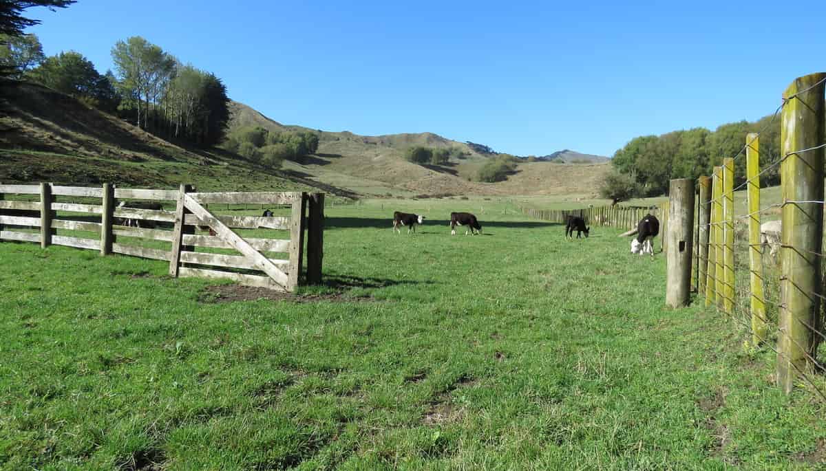 Sold 109 Paremata Branch Road, Tolaga Bay realestate.co.nz