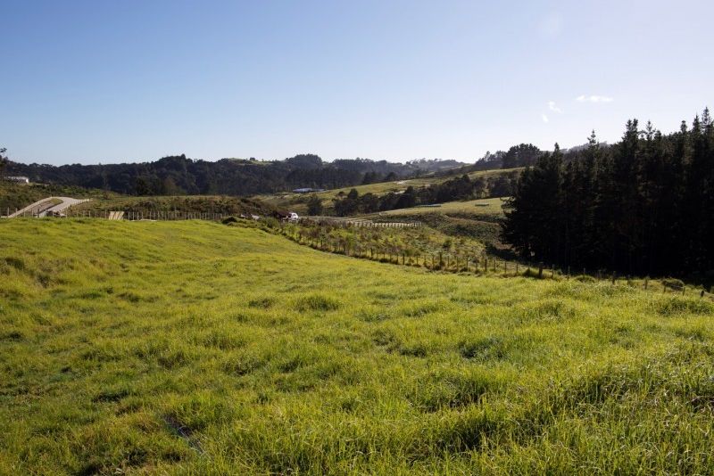 For sale Whitford Lifestyle Vendor Wants Action realestate.co.nz