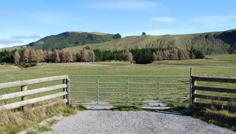Property