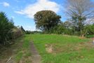427 Carrington Street, Upper Vogeltown, New Plymouth, Taranaki