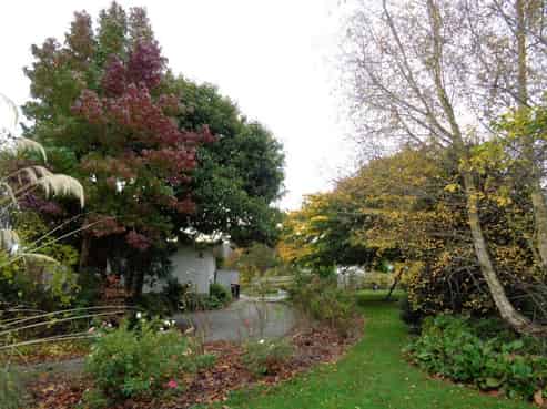 35 Meadow Street, Lumsden