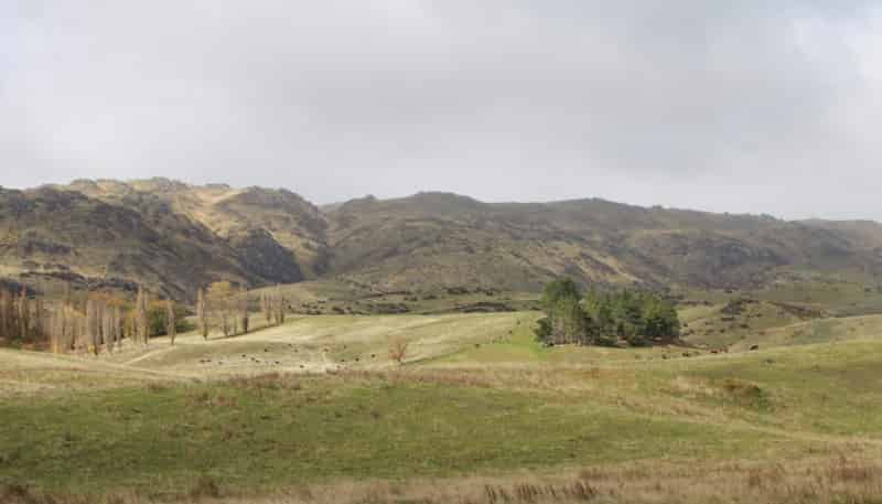 Property