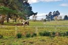 84 Tod Road, Otane, Central Hawkes Bay, Hawkes Bay