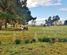 84 Tod Road, Otane, Central Hawkes Bay, Hawkes Bay